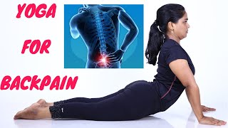 Yoga For Lower Back PainSlip Discமுதுகு வலியை போக்கும் யோகா in Tamil by DrLakshmi Andiappan [upl. by Neelyaj]