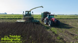 GPS hakselen  Whole Crop Silage  Maatschap Hoekstra  Ganzpflanzensilage  Krone  Kroger [upl. by Eizle]