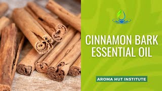 Unleash The Power Of Cinnamon Bark Essential Oil Discover Its Remarkable Uses And Benefits [upl. by Aleel]