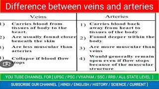 difference between veins and arteries  veins and arteries difference  veins and arteries [upl. by Oah]