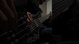 Rayando el Sol  Xavi Bass Cover [upl. by Nailij280]