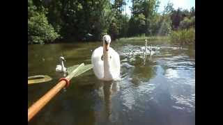 Mialo byc tak pieknie WYPRAWA KAJAKAMI MAZURY 2013 [upl. by Kalk947]