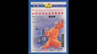 Shaolin Kung Fu Combat Styles 14 sunny form 昭阳拳 zhao yang quan [upl. by Lud]