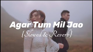 Agar Tum Mil jao Slowed and Reverb  Love Lofi Music  Aesthetic Vibe  Emotion and Love  BTS [upl. by Woodcock]