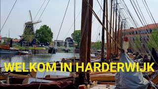 Welkom in Harderwijk  4K [upl. by Sailesh733]