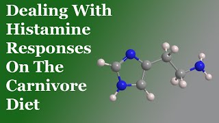 Dealing With Histamine Responses On The Carnivore Diet [upl. by Anirtac]