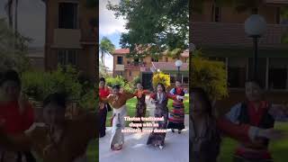 Losar dance goviral tibetanvlogger tibetan tibetanvlogger australia tibetan nurse brisbane [upl. by Helsa]