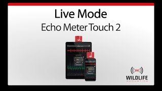 Echo Meter Touch 2 3 Live Mode  Record Bat Sounds [upl. by Idette]