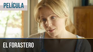 ▶️ El forastero  Películas y series de televisión  Melodramas rusos [upl. by Atiuqel]