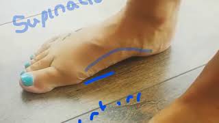 Pronation supination foot vid [upl. by De357]