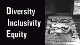 Jordan Peterson  Diversity Inclusivity amp Equity [upl. by Yttap]