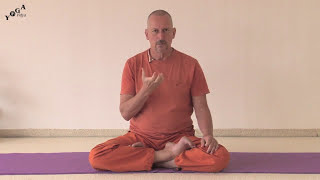 Kriya Yoga Energization Exercises with Swami Bodhichitananda [upl. by Apeed44]