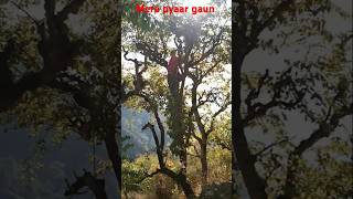 Village ki jindagi aise hoti hai ❤️ trending dance coupledance youtubeshorts [upl. by Pascia909]