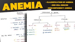 Anemia  Classification of Anemia  Iron Deficiency Anemia  Megaloblastic Anemia  Pathology [upl. by Hakym]