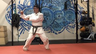 Naihanchi Nidan  Shitoryu Karate Kata  ナイハンチ二段  糸東流空手道 形 [upl. by Attiuqram]