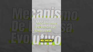 ¿TE SIENTES OBSERVADO LA EXPLICACIÓN A LA SENSACIÓN DE PRESENCIAS INEXPLICABLES [upl. by Allebara444]