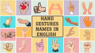 quotHand Gestures Names in English with Pictures A Complete Guidequot [upl. by Earal244]