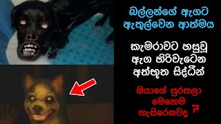 කැමරාවට හසුවූ හොල්මන් Part 18 Paranormal Activity kazzai holman Sinhala film review holman [upl. by Severin]