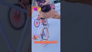 sarkar jaura phagwara song cycle stunt 1wheeling ytshorts [upl. by Terti]