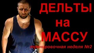 Тренировка дельт FST7 Дельты на МАССУ Тренировочная неделя №2 [upl. by Fleeta]