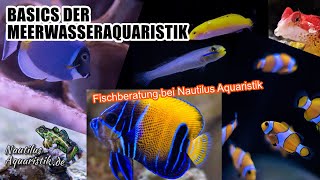 Fischberatung bei Nautilus Aquaristik [upl. by Llecrad]