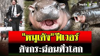 ซุปตาร์ quotหมูเด้งquot ฮิปโปแคระเขาเขียว ดังกระฉ่อนทั่วโลก  19 กย 67  ไทยรัฐนิวส์โชว์ [upl. by Kristo]