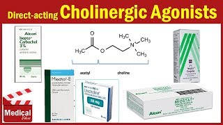 Pharmacology ANS 6 Direct Acting Cholinergic Agonists  Acetylcholine  Carbachol  Methacholine [upl. by Kcirded]