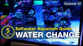 Change your saltwater aquarium water and change your reefing hobby life [upl. by Fording72]