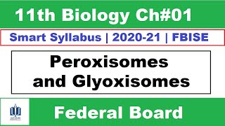 Peroxisomes Peroxisomes Structure and Function Biology Cell Biology [upl. by Amble]