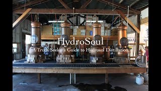 HydroSoul  A Truth Seekers Guide to Hydrosol Distillation [upl. by Agamemnon]