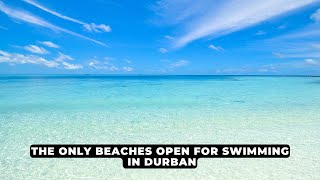 The Only BEACHES open for swimming in Durban  NEWS IN A MINUTE [upl. by Nosirb]