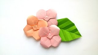 How to make Origami Hydrangea  Origami Flowers [upl. by Maloy]