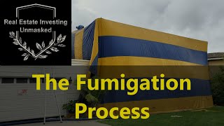 How Does Fumigation Work The Whole Process As I Saw It [upl. by Cestar]