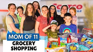 MASSIVE WEEKLY GROCERY HAUL Shopping for 11 KiDS [upl. by Eneluqcaj]