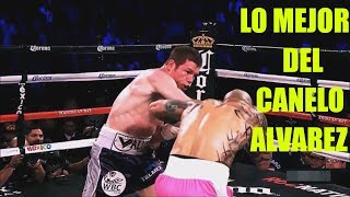 los 25 Mejores Golpes del Canelo Alvarez [upl. by Notla]