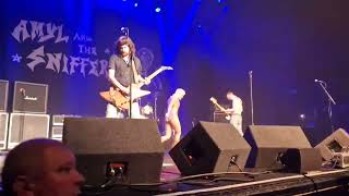 Amyl and the Sniffers  Hertz Live at the Olympia Theatre Dublin [upl. by Foah]