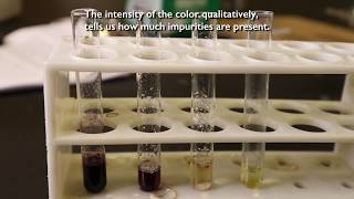 Identification of Phenol Organic Chemistry Alcohol phenol Chemistry practicals [upl. by Maxim520]