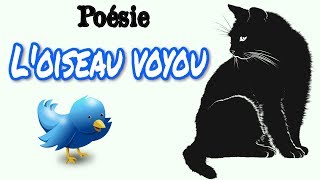 Poésie 🐦🐱 Loiseau voyou de Claude Roy 🐦🐱 [upl. by Aicilra436]