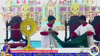 27 OCTOBER 2024 0530PM  LIVE HOLY MASS  വിശുദ്ധ കുർബാന  VALLARPADAM SHRINE BASILICA [upl. by Ettesel]