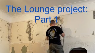 Amateur DIY Decorating projects The Lounge project Part 1 [upl. by Durer]