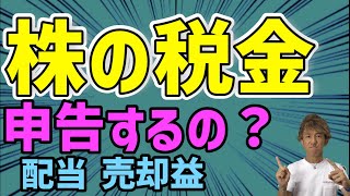 【税金】株を売って利益出たけど、確定申告するの？！ [upl. by Iolanthe478]