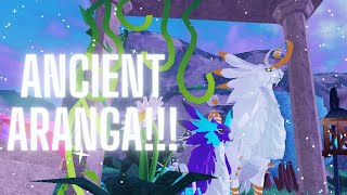 Ancient Aranga SHOWCASE Dragon Adventures ROBLOX [upl. by Leacim412]