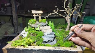 get make ll moss ll moss garden ll moss mini structure ll mini garden ll moss miniature moss [upl. by Brianna]