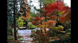 Garden Canadensis Season 2021 October into Winter [upl. by Lourdes]