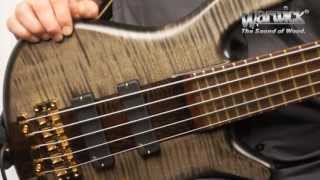 The Warwick Streamer Stage I 5String  Product Demo with Andy Irvine [upl. by Tavey35]