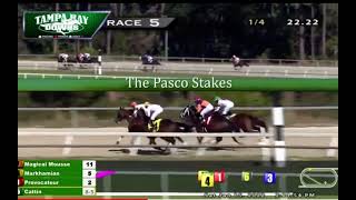 “The Pasco Stakes 2022” Tampa Bay Downs Horse Markhamian [upl. by Allemrac]