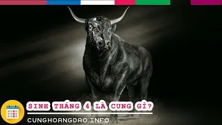 Sinh tháng 4 là cung hoàng đạo gì  Cunghoangdaoinfo [upl. by Ataynik781]