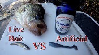 Live Minnow VS Artificial Minnow Crappie Fishing CHALLENGE [upl. by Diana]