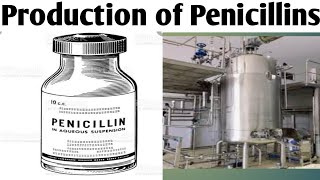 Production of Penicillin Biotechnology Unit 5  B Pharm 6 Sem productionofpenicillins [upl. by Temp]