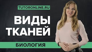 Виды тканей покровная механическая проводящая ткань  Биология  TutorOnline [upl. by Eineg]